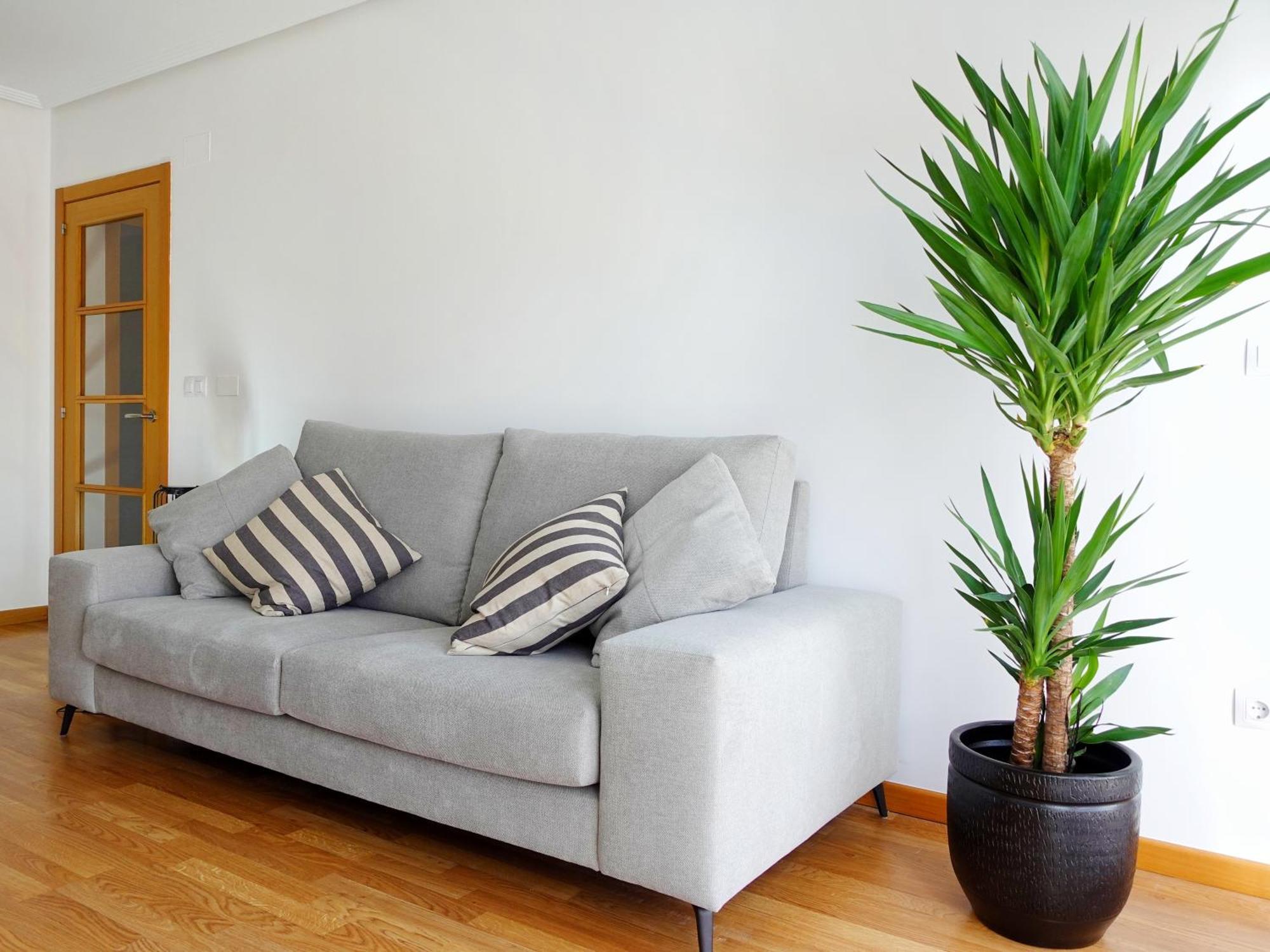 Atalaia Apartment 포스 외부 사진